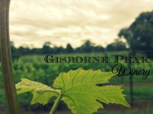 20151031_003623252_iOS