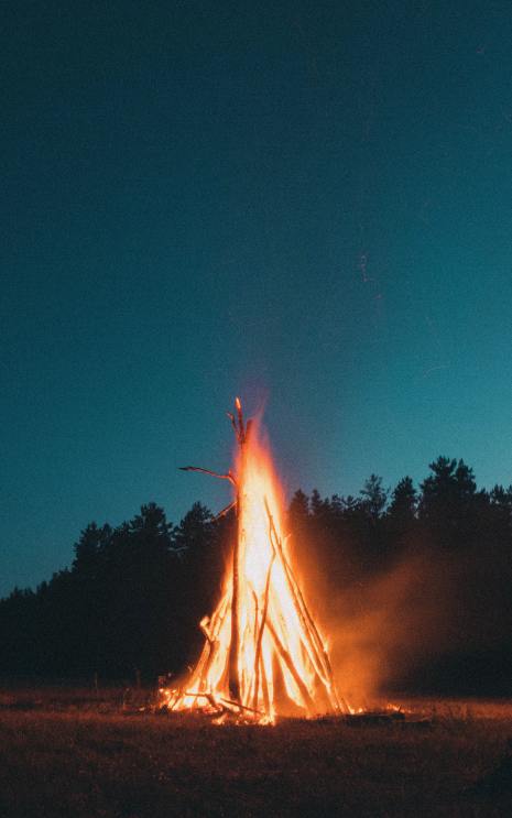 photo-1561539941-c8c44cb421e3